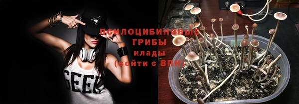 стаф Алексеевка