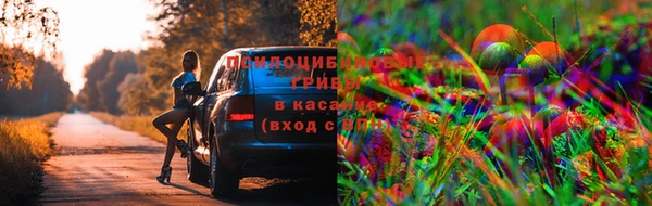 гашишное масло Арсеньев
