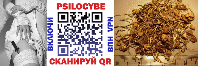 Купить  Вичуга  Псилоцибиновые грибы Magic Shrooms 
