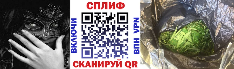 Купить  Вичуга  Бошки Шишки семена 